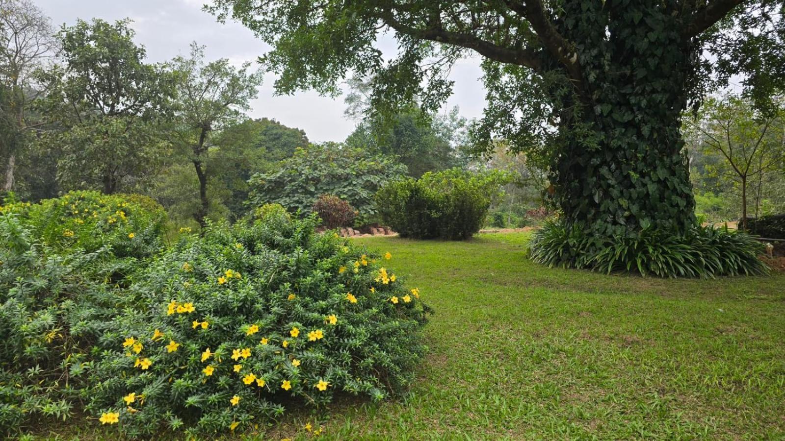 Highland Estate Hotell Sakleshpur Eksteriør bilde